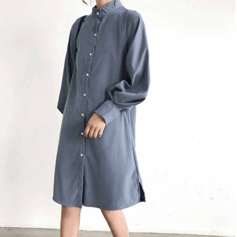 Long Lantern Sleeve Blouse Shirt