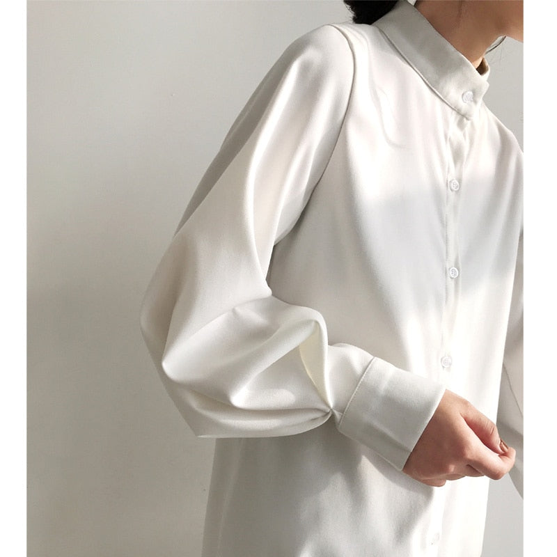 Long Lantern Sleeve Blouse Shirt