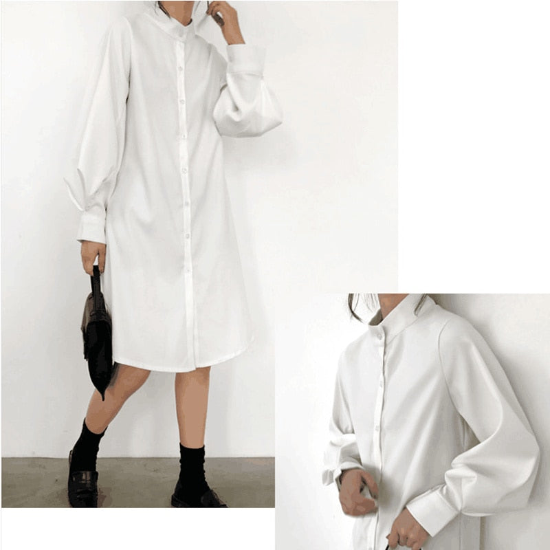 Long Lantern Sleeve Blouse Shirt