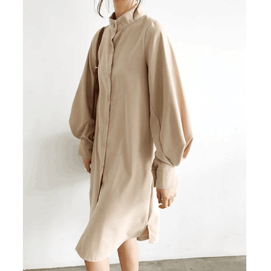 Long Lantern Sleeve Blouse Shirt