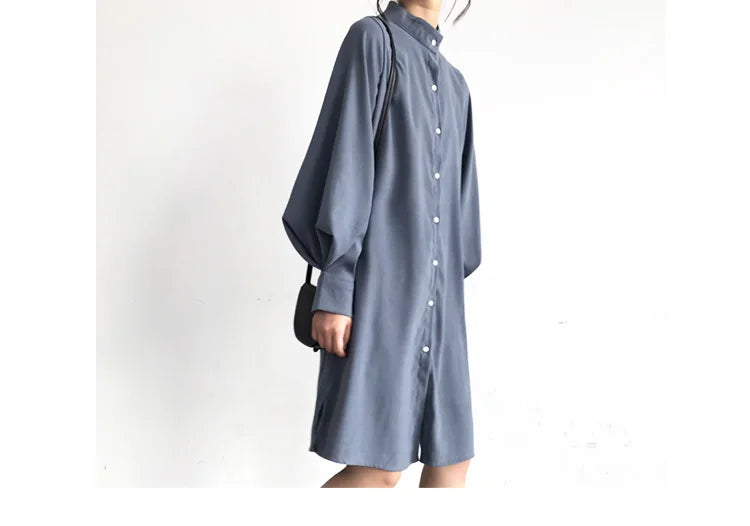 Long Lantern Sleeve Blouse Shirt