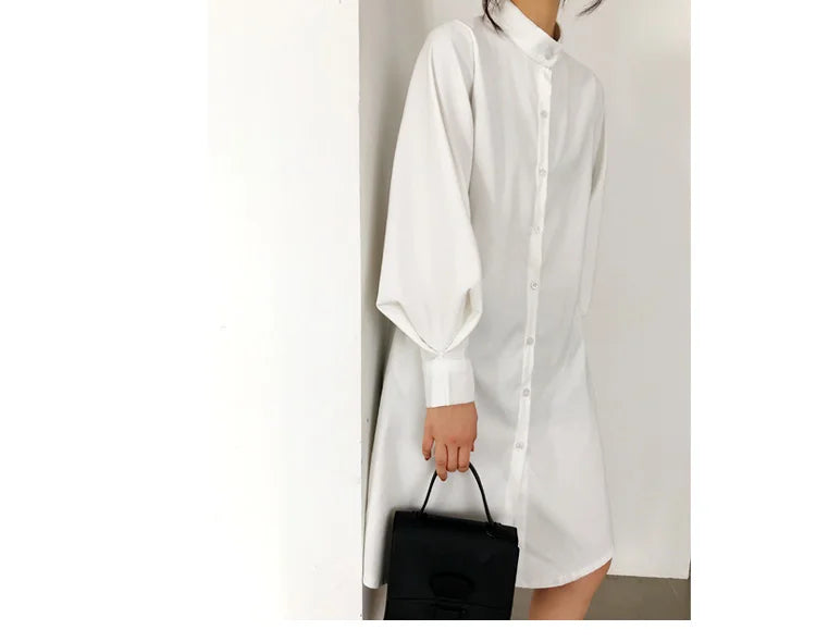 Long Lantern Sleeve Blouse Shirt