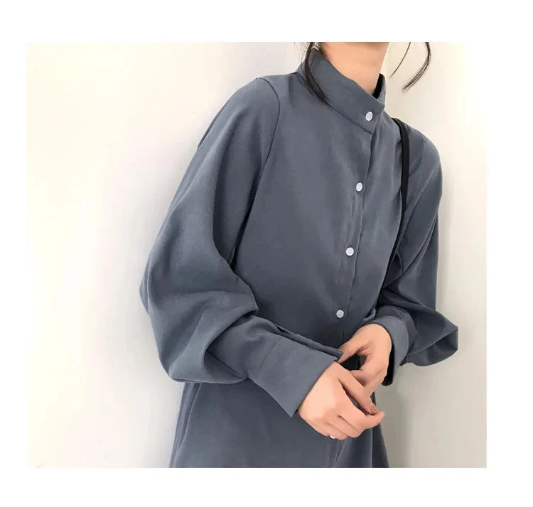 Long Lantern Sleeve Blouse Shirt