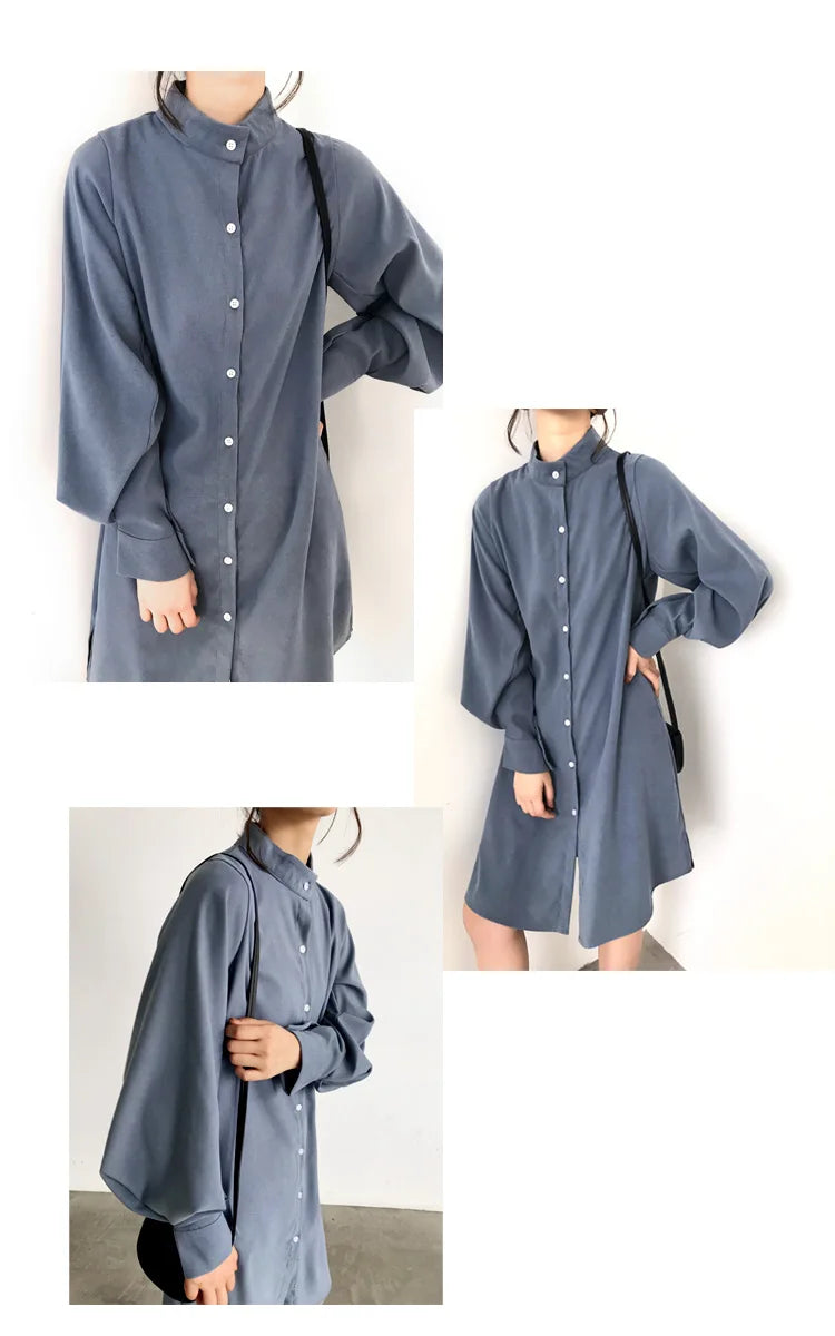 Long Lantern Sleeve Blouse Shirt